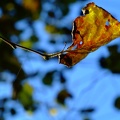 DSCF1076