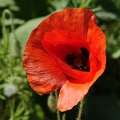 dscf6182