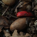 DSCF2138.JPG