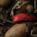 DSCF2140.JPG