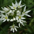 DSCF3519.JPG