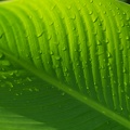 dscf5217