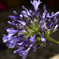 DSC_0461.JPG