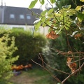 DSC 3255