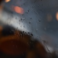 DSC 3385