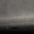 DSC 4416