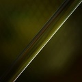 IMG 20171114 003907 532