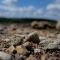 DSC_0552