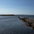 DSC_1143