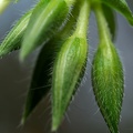 dscf5207