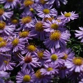 dscf5226