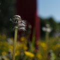 DSC_3222